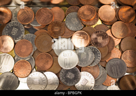 Diverses pièces de monnaie roumaine dans une boîte métallique. Banque D'Images