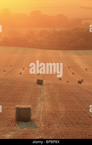 Bottes de paille dans un champ sur les South Downs près de Wilmington, East Sussex, Angleterre. Banque D'Images