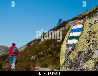 Randonnées dans les Basses Tatras (Slovaquie) - sentier de randonnée pédestre à la montagne Chopok 2034 m Banque D'Images