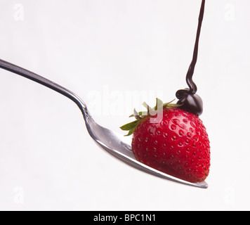 Sirop de chocolat tombe sur une fraise assis sur une cuillère isolated on White Banque D'Images