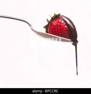 Une fraise sur une cuillère de chocolat dégoulinant d'arrêt contre un fond blanc. Banque D'Images