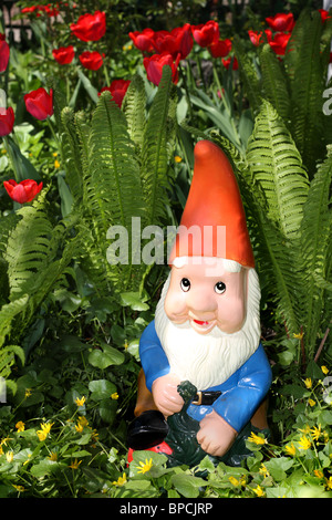 Nain de jardin assis parmi les tulipes et fougère Banque D'Images