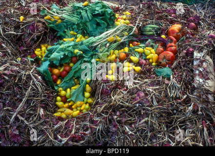 L'ajout de compost avec les nouvelles matières premières du jardin pour le jardinage biologique, compostage pour vivre vert sain Banque D'Images
