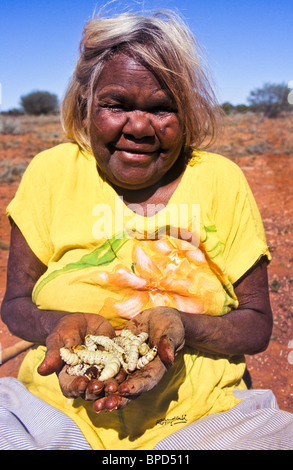 Femme autochtone la collecte de larves witchetty, Australie Banque D'Images