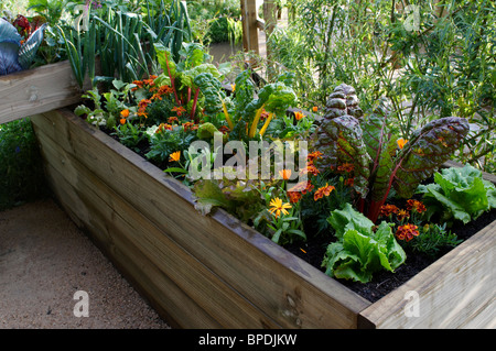 Petit potager urbain dans les lits surélevés Banque D'Images