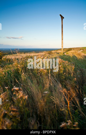 Combe Gibbet sur potence près de Inkpen Berkshire UK Banque D'Images