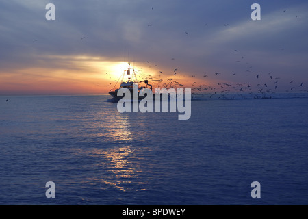 Bateau de pêche professionnelle et mouette tourner port arrière sur le coucher du soleil lever du soleil Banque D'Images