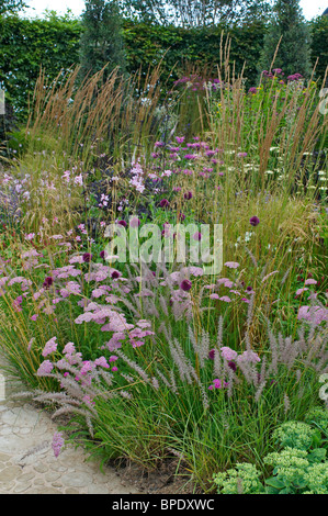 Fleurs colorés en été avec la frontière close up detail des plantes Banque D'Images