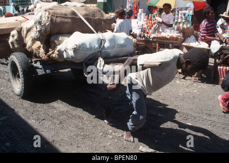 Haïti PORTEURS TRANSPORTANT DES CHARGES DANS LE MARCHÉ À PORT-AU-PRINCE Banque D'Images