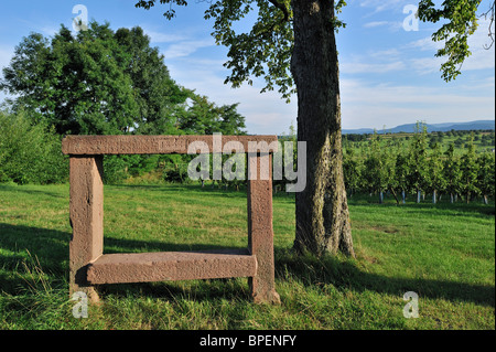 Banc Napoléon / Historique du banc le long de la route Napoléon à toujours dans les Vosges, Alsace, France Banque D'Images