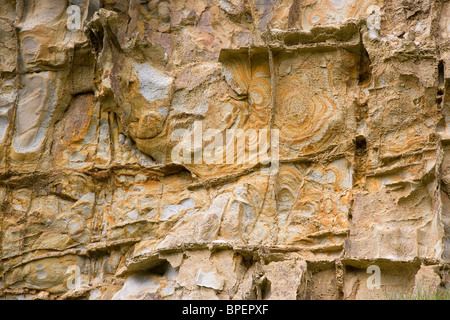 Motif coloré de bandes riches en fer et en plaques cubique de falaises de grès près de Bude Cornouailles du nord de l'Angleterre Banque D'Images