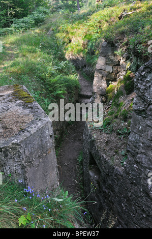 La PREMIÈRE GUERRE MONDIALE allemand tranchées de la Première Guerre mondiale, un champ de bataille Le Linge à Orbey, Alsace, France Banque D'Images