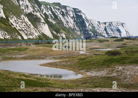 Samphire Hoe et les falaises blanches près de Folkestone et Douvres sur la côte du Kent Banque D'Images