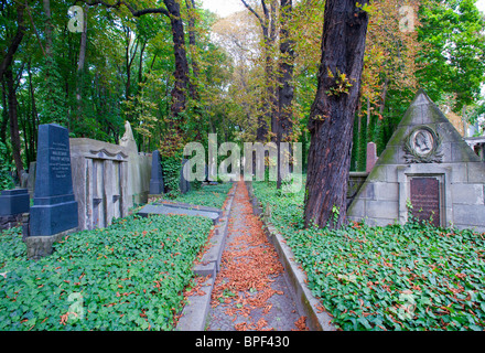 Chemin dans le vieux cimetière juif de Prenzlauer Berg à Berlin, Allemagne Banque D'Images