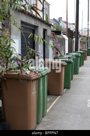 Une rangée de vert et de brun wheelie bins dans une rue arrière Plymouth. Banque D'Images