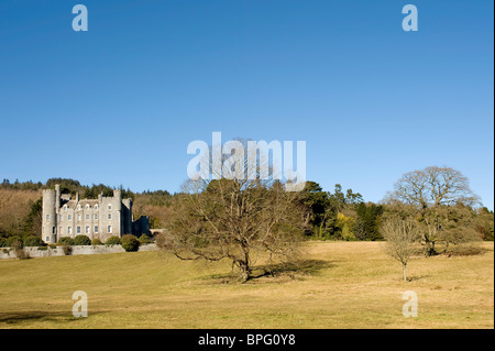 Castlewellan Forest Park, Co Down, Irlande du Nord Banque D'Images