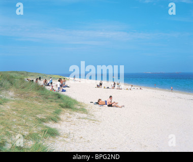 La plage de Shell Beach, Herm, Channel Islands Banque D'Images