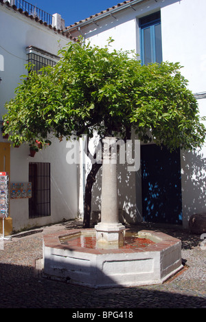 Dispositif de l'eau dans la rue des fleurs (Calle de las Flores), Cordoue, province de Cordoue, Andalousie, Espagne, Europe de l'Ouest. Banque D'Images