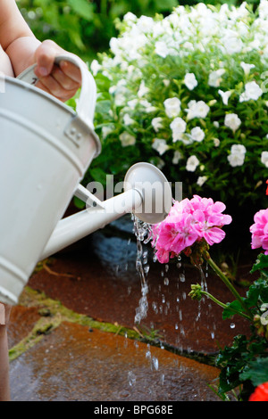 Petit enfant arrosage des fleurs Banque D'Images