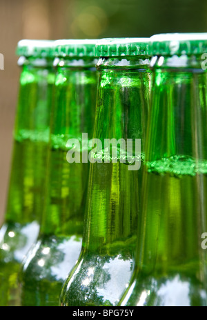 Rangée de bouteilles de bière verte non ouvert Banque D'Images