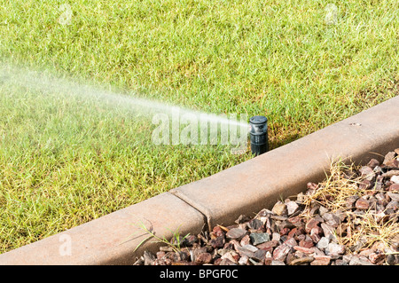 Un arrosage automatique est utilisé pour l'eau l'herbe dans un parc de la ville de l'Arizona. Banque D'Images