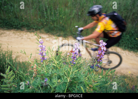 Man mountain biking au printemps. Banque D'Images