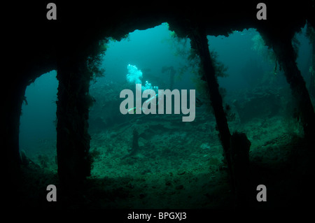 Un plongeur d'explorer l'épave de l'USAT Liberty fluo, Tulamben, Bali, Indonésie. Banque D'Images