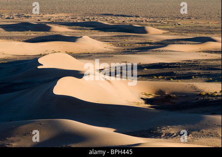 Khongoryn Els sand dunes dans le Sud Gobi Mongolie hiver Banque D'Images