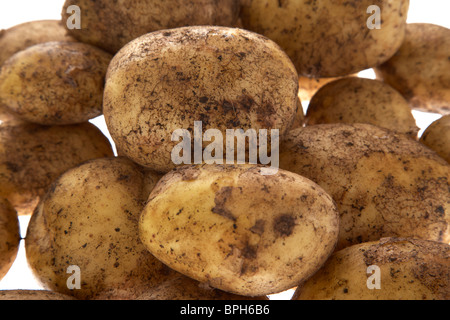 Les pommes de terre fraîchement creusée Maris Piper Banque D'Images