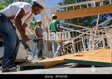 Charpentiers travaillant sur un faisceau de lamination sur un site de construction Banque D'Images