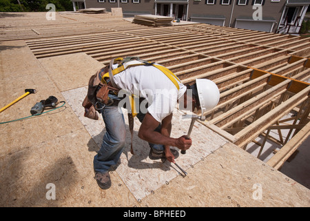 Carpenter hammering osb en place Banque D'Images