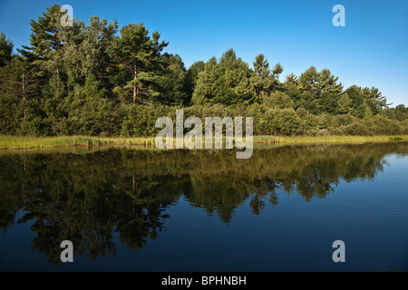 Sable River dans le Michigan USA paysage américain au lever du soleil avec des arbres reflets dans l'eau personne aucune de ci-dessus fond d'écran horizontal haute résolution Banque D'Images