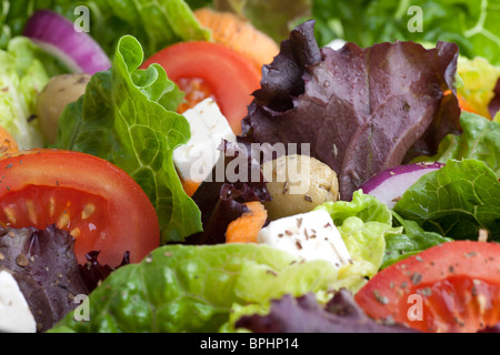 Close up of dîner salade avec le rouge et la laitue romaine, tomates, carottes, olives et fromage feta. Banque D'Images