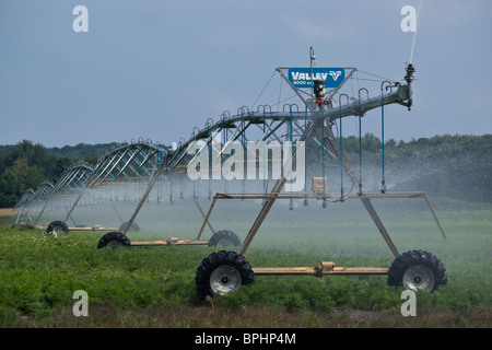 American Farming Travelling irrigation sprinklers System pulvérisation automatique d'eau sur un champ Fermer personne dans Michigan mi USA horizontal haute résolution US Banque D'Images
