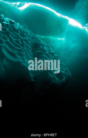 Printemps de dislocation de la plongée dans le détroit de Lancaster, étang, Inlet, île de Baffin, Nunavut, Canada Banque D'Images