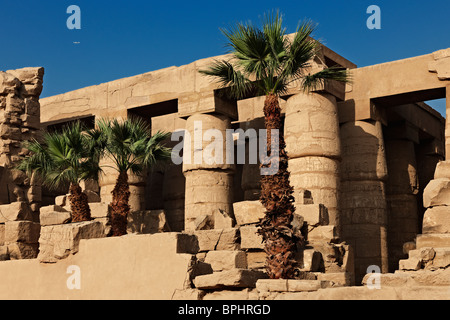 Salle hypostyle de Karnak, situé dans le complexe du temple de Karnak, Louxor, Thèbes, en Egypte, en Arabie, en Afrique Banque D'Images