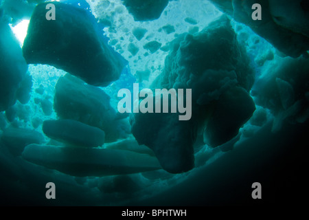 Printemps de dislocation de la plongée dans le détroit de Lancaster, étang, Inlet, île de Baffin, Nunavut, Canada Banque D'Images