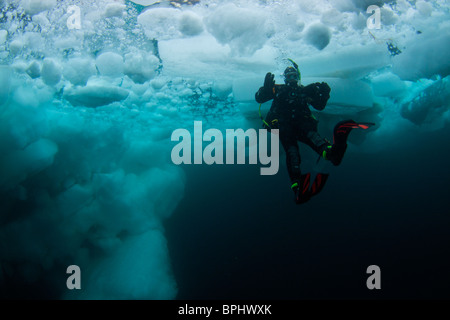Printemps de dislocation de la plongée dans le détroit de Lancaster, étang, Inlet, île de Baffin, Nunavut, Canada Banque D'Images