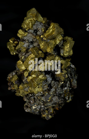 La chalcopyrite (sulfure de cuivre fer) (golden) - Colorado - USA - Le principal minerai de cuivre - Très important Banque D'Images