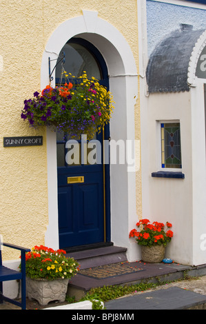 Affichage floral peint bleu à l'extérieur porte d'entrée de maison dans la maison de ville balnéaire de New Quay West Wales Royaume-uni Ceredigion Banque D'Images