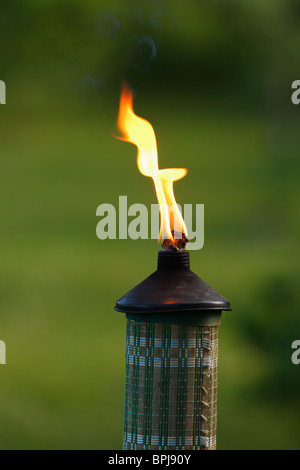 Gros plan sur la flamme de la torche de jardin arrière-plan flou Banque D'Images