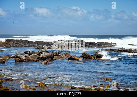 La mer au cap de Bonne Espérance, Cape Town, la péninsule du Cap, Afrique du Sud, Western Cape Banque D'Images