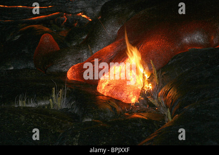 25 octobre 2004 - flux de lave pahoehoe Kilauea, Hawaii. Banque D'Images