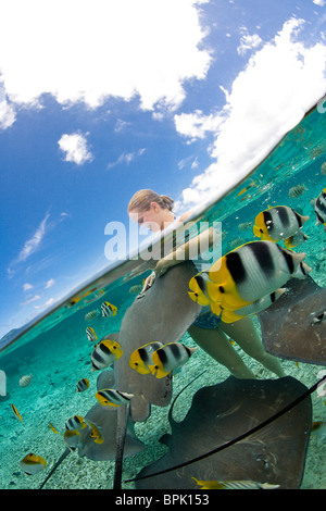 Lagoon safari trip de nager avec des raies, petits marinelife - blacktip requins et une variété de poissons de récif coloré Banque D'Images