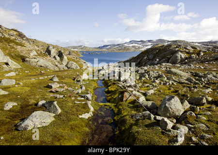 Paysage aride et un lac sur le Rallarvegen, parc national de Hardangervidda, Hordaland, au sud de la Norvège, Scandinavie, Europe Banque D'Images