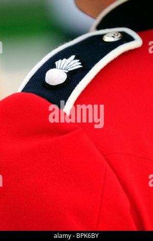 Close Up Detail d'un gouverneur général des officiers de la Garde côtière canadienne pied uniforme sur la Colline du Parlement, Ottawa, Canada Banque D'Images