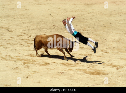 Recoupeuses' contest (pour aller sur les taureaux) dans les arènes de Pampelune, Navarre, Espagne. Banque D'Images