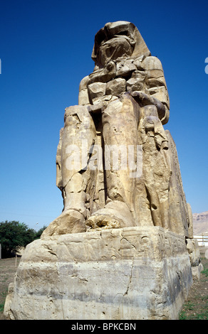 L'un des deux colosses de Memnon à la nécropole thébaine de Louxor en Haute Egypte. Banque D'Images