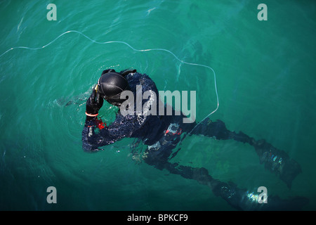 Plongeurs dans l'eau Banque D'Images