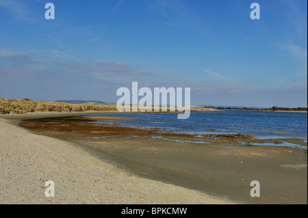 West Wittering dunes de sable à la plage avec ciel bleu Banque D'Images